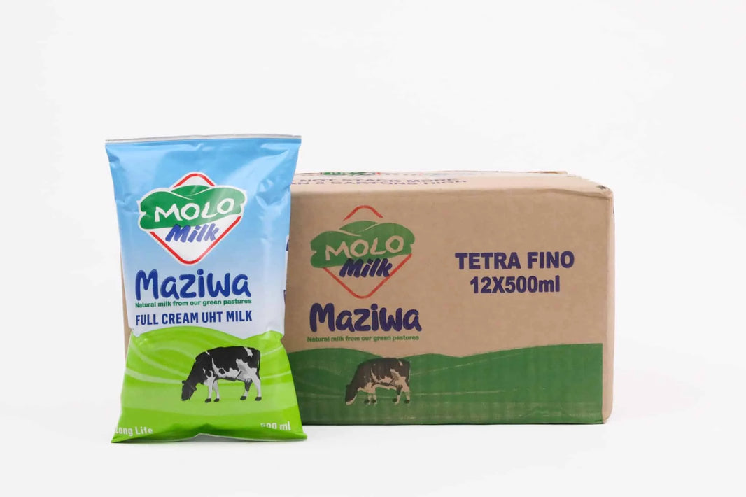 Molo Esl Box *12Pc