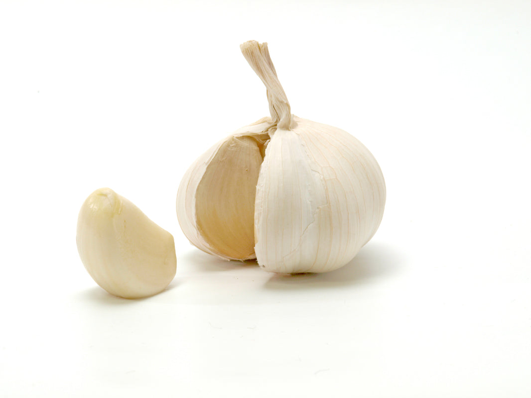 Garlic Onion 1Pc