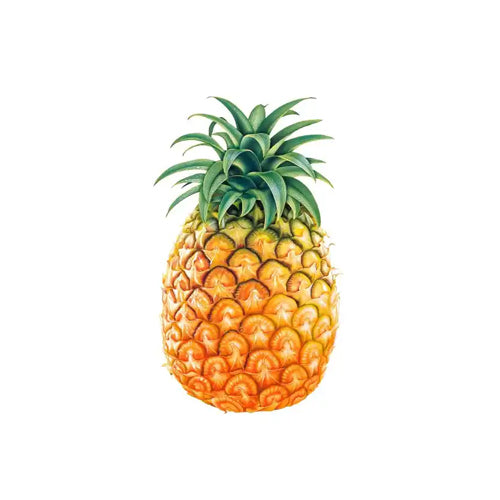 Pineapple Kampala Per Pc