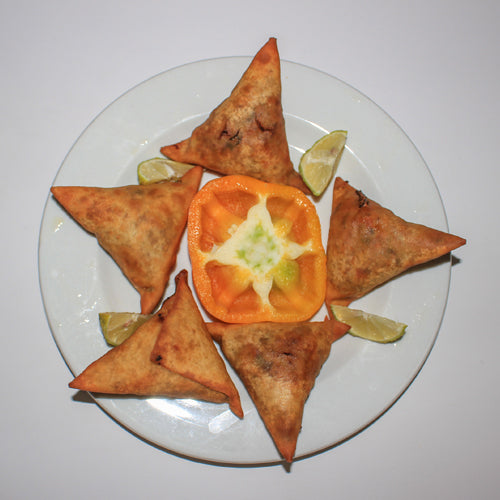 XanaLife Samosa