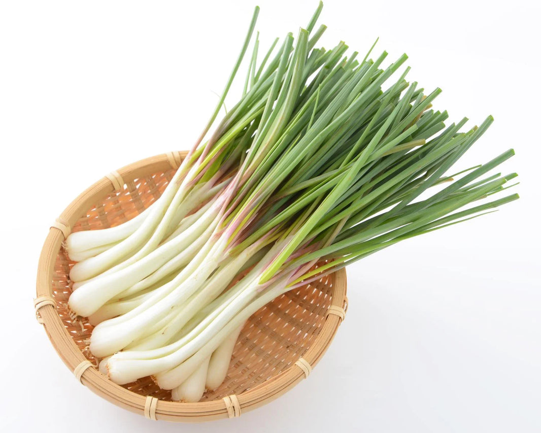 Spring Onions Per Kg